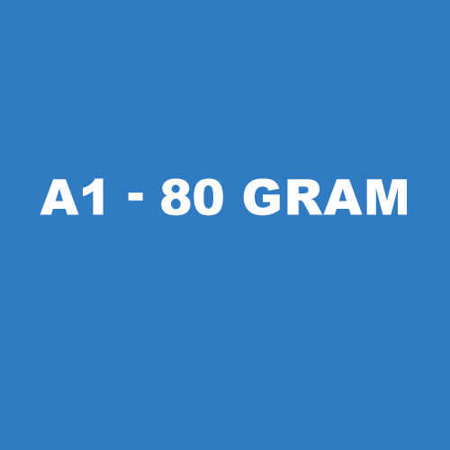 A1 Plotterpapir 80 gram - 594 mm bredt