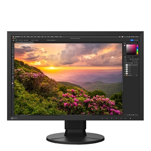 EIZO ColorEdge CS2400SCAL 24" Svart