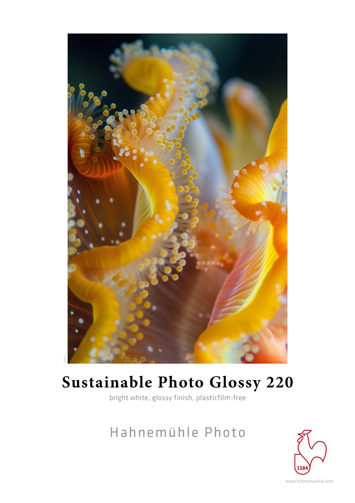 Hahnemühle Sustainable Photo Glossy 220 g/m² - 60" x 30 meter